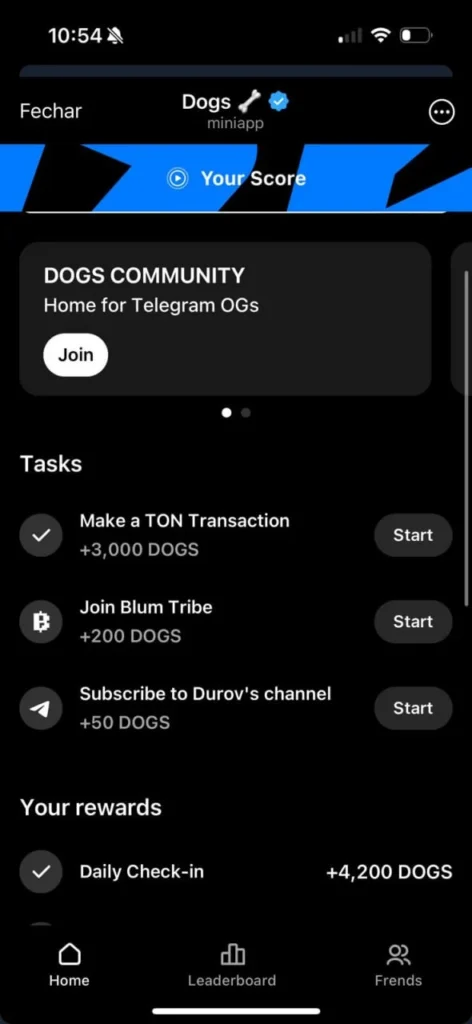 dogs